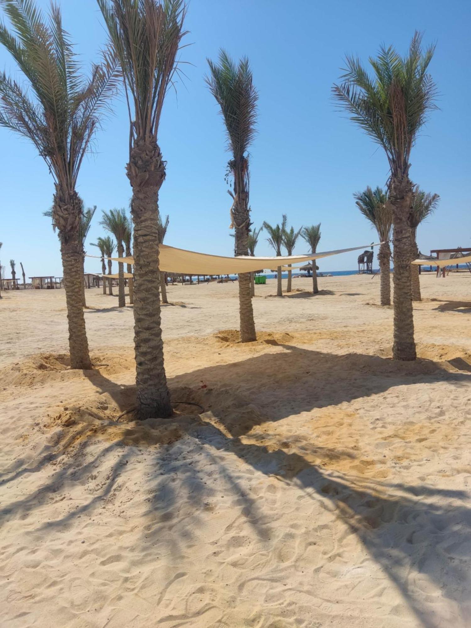 Готель D-Bay North Coast Zawiyat 'abd al Mun'im Екстер'єр фото